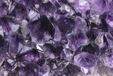 Dark Purple Amethyst Cluster - Minas Gerais, Brazil #211962-1